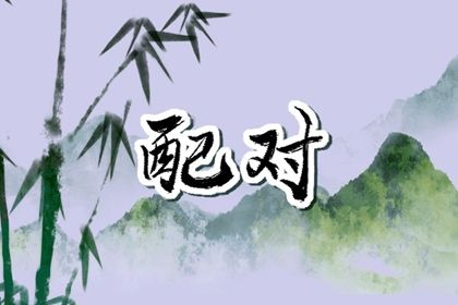 理想对象类型